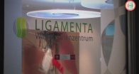 Ligamenta